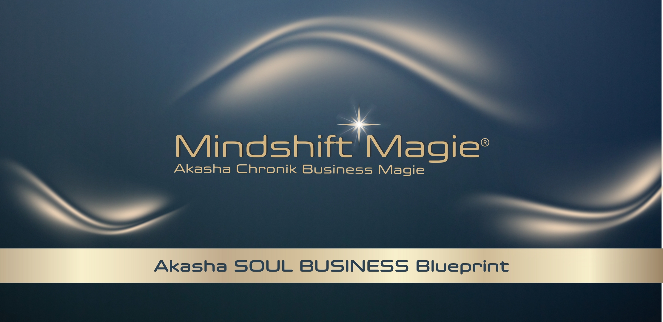 Akasha Soul Business Blueprint