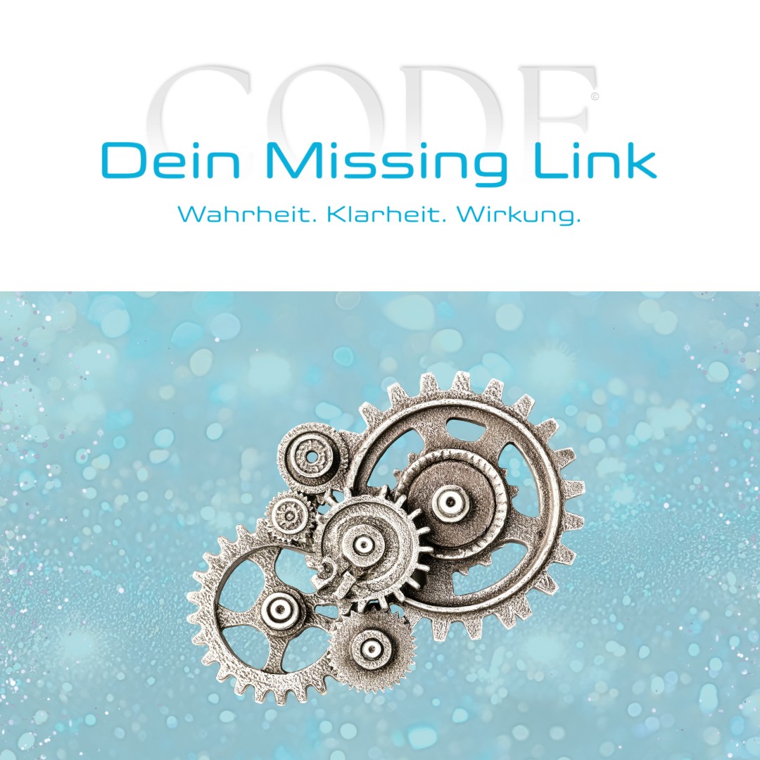 Dein Missing Link Code Mentoring