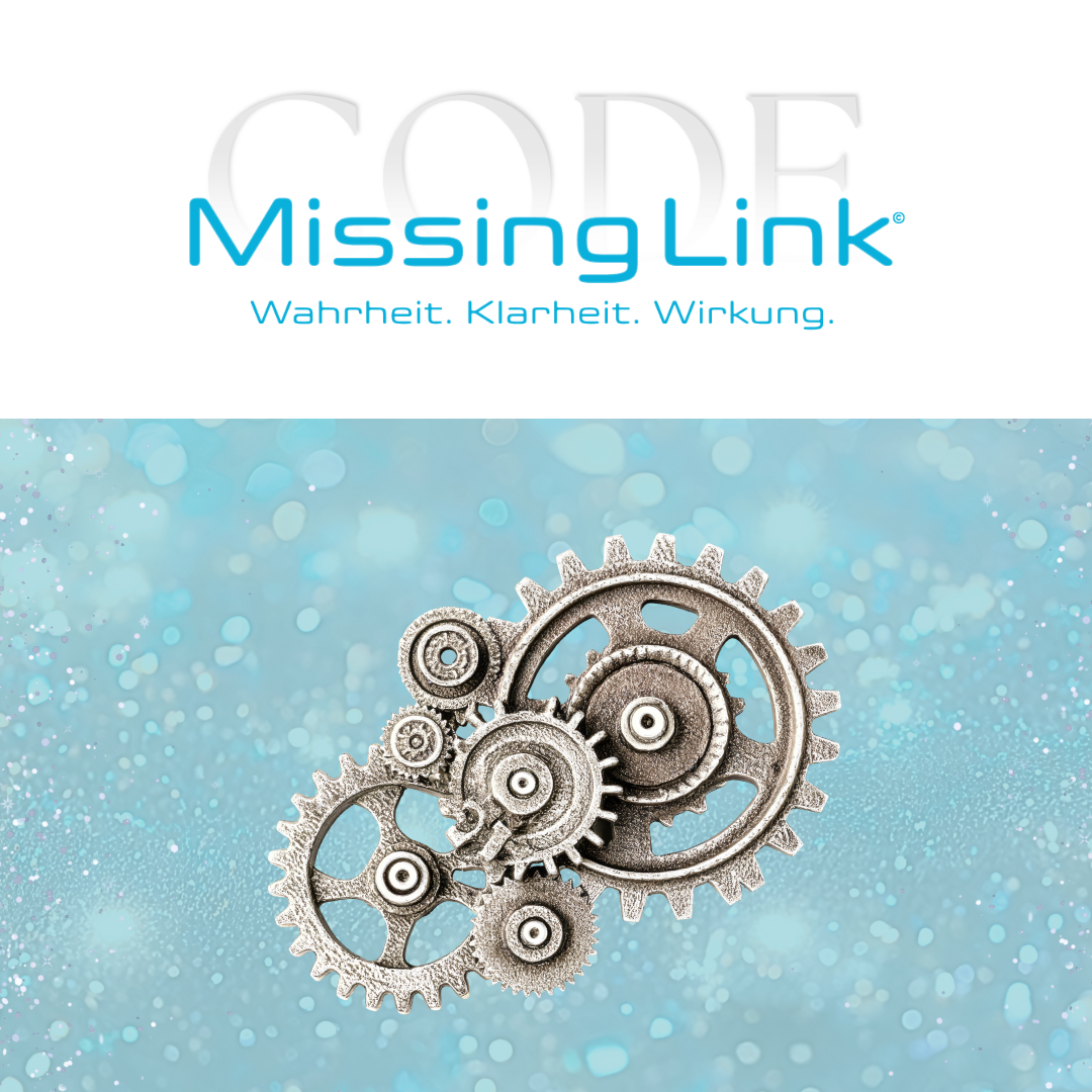 Missing Link Code Mentoring