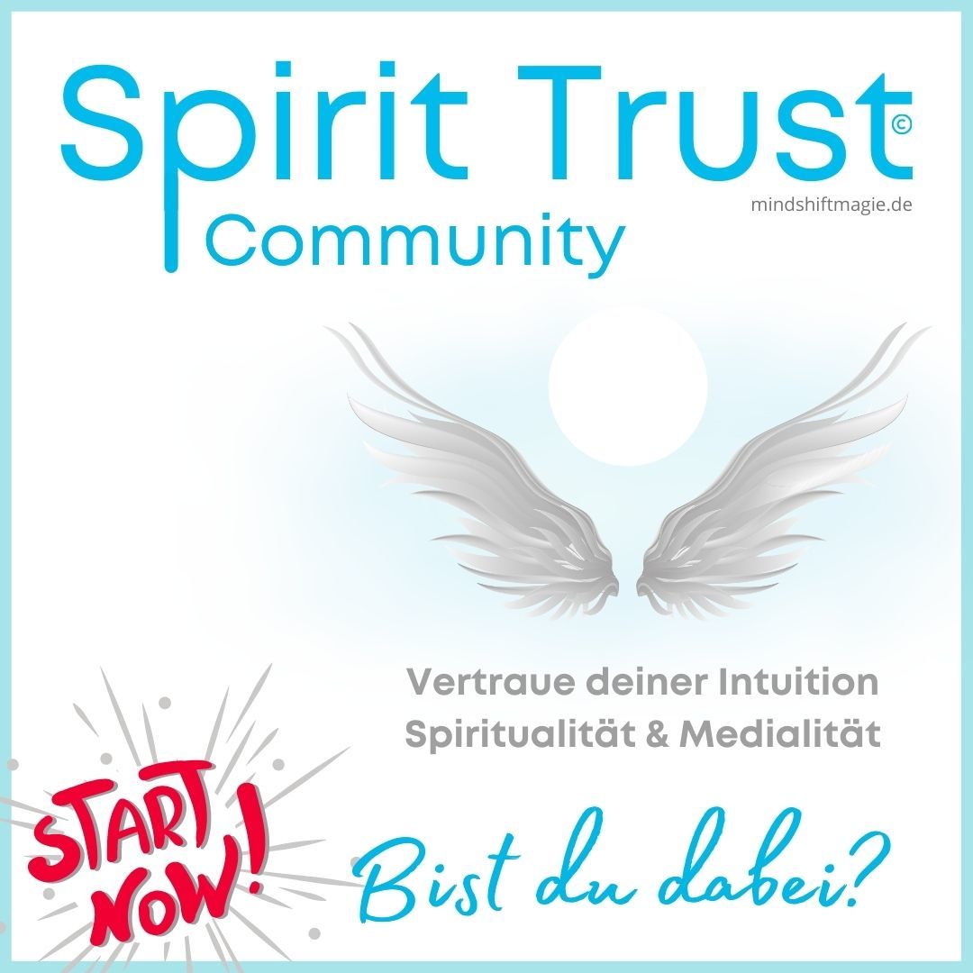 Spirit Trust Community